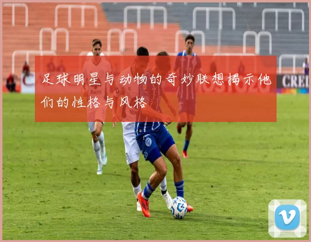 足球明星与动物的奇妙联想揭示他们的性格与风格