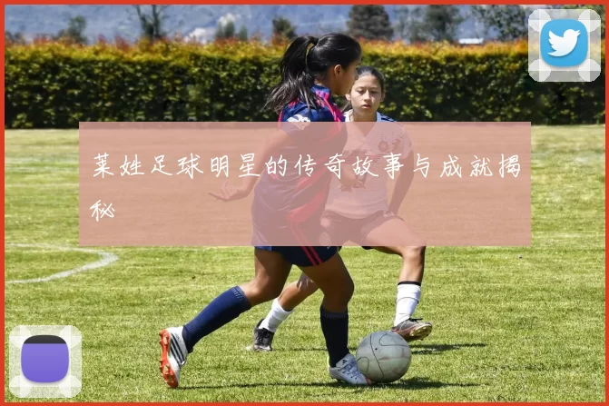 莱姓足球明星的传奇故事与成就揭秘