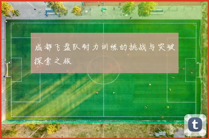 成都飞盘队耐力训练的挑战与突破探索之旅