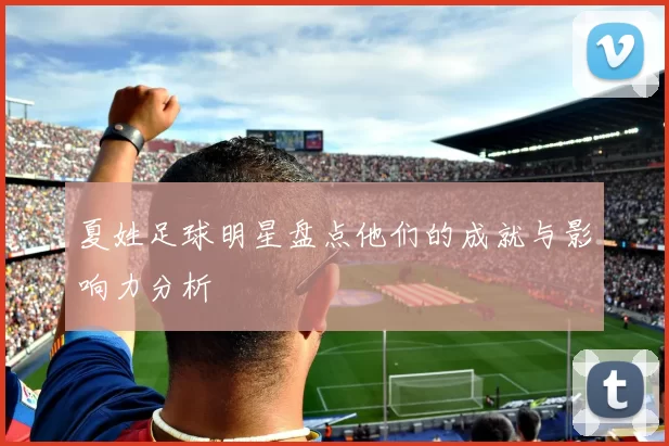 夏姓足球明星盘点他们的成就与影响力分析