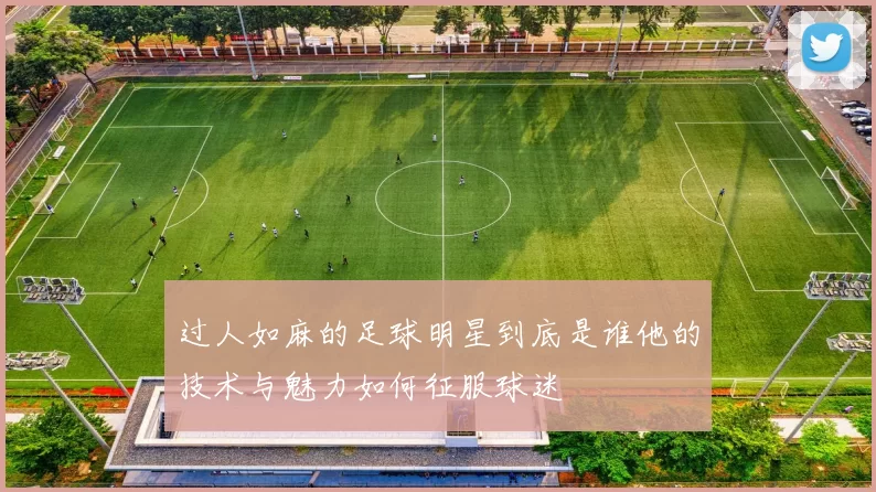 过人如麻的足球明星到底是谁他的技术与魅力如何征服球迷