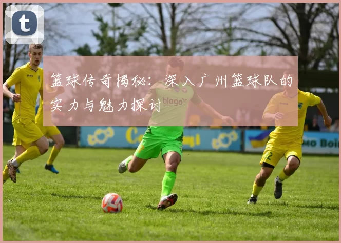 篮球传奇揭秘：深入广州篮球队的实力与魅力探讨