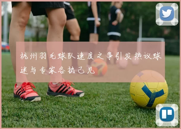杭州羽毛球队速度之争引发热议球迷与专家各执己见